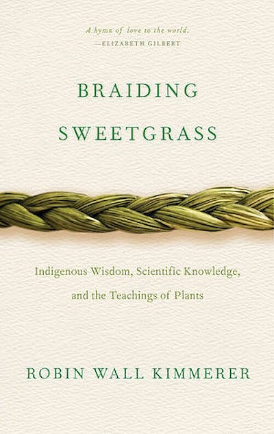 Cover Art: Braiding Sweetgrass