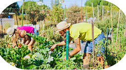 People gardening