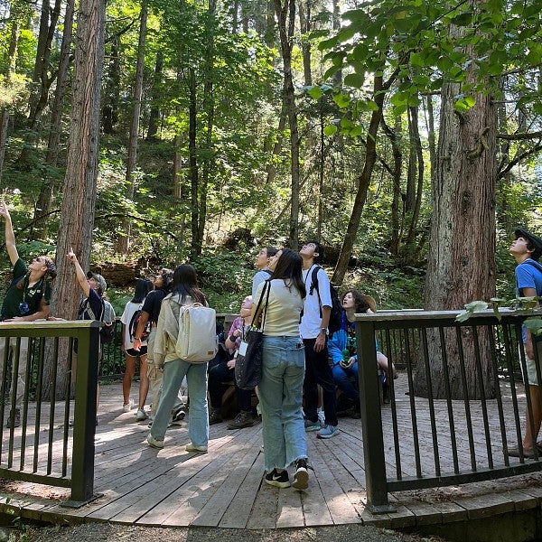 SAIL students look at nature