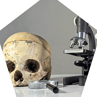Skull, microscope, and magnifying glass 