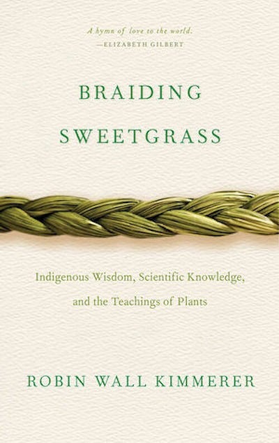 Braiding Sweetgrass Cover 2