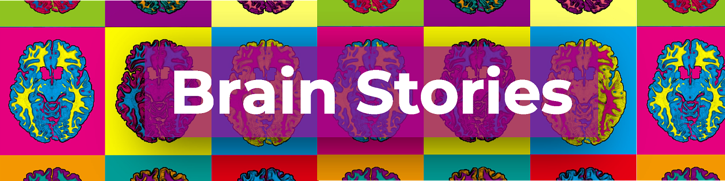 Brain Stories