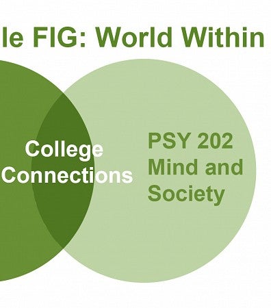 A FIG is made up of three courses, two regular university courses and the FIG seminar, called College Connections, that brings the disciplines together.